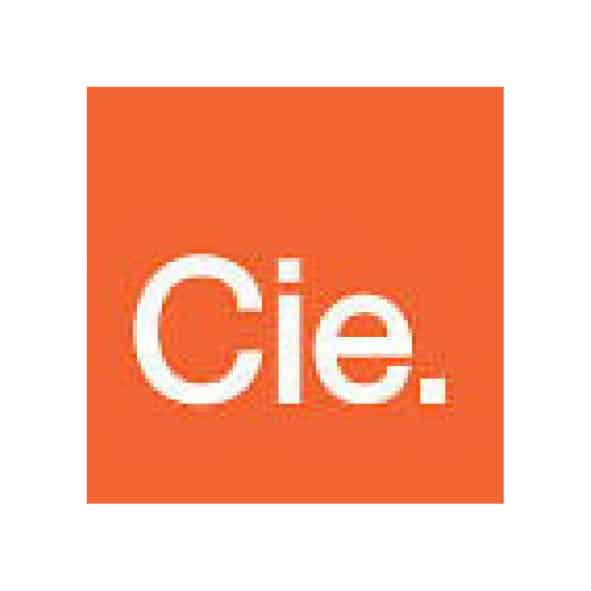 Taalkwadratuur-Cie-logo-klein
